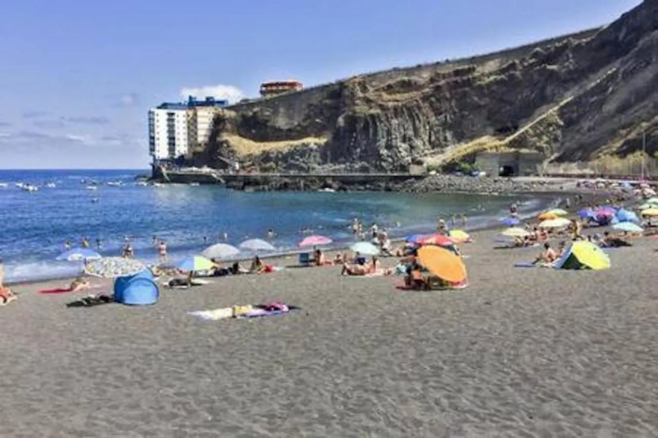 Wonderful View Apartment Tacoronte